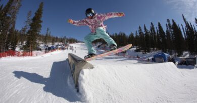 Dehors il drache, dedans ils glissent : les usines belges à olympiens
